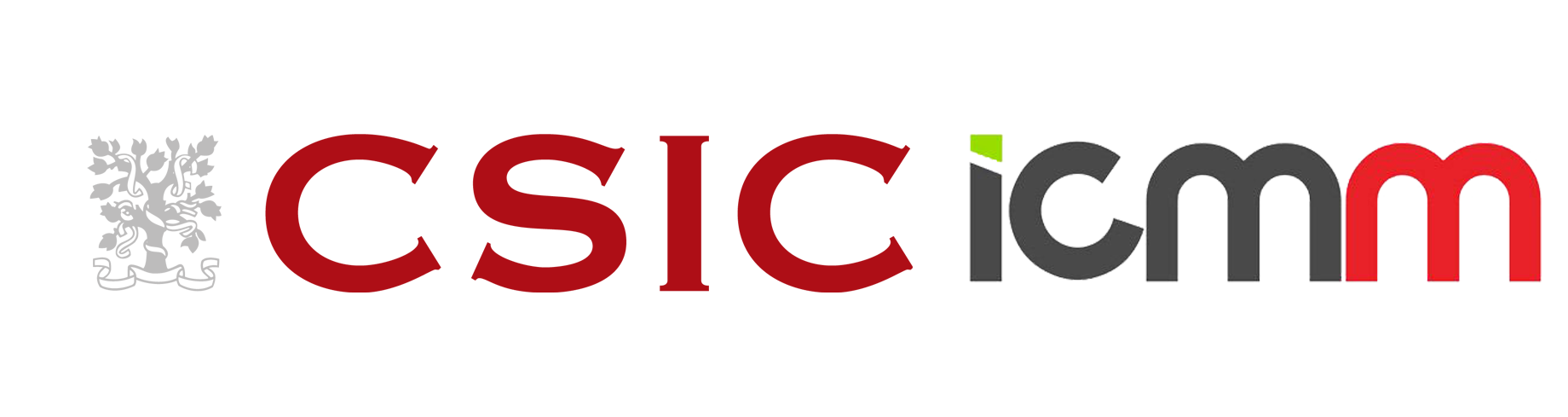 CSIC ICMM